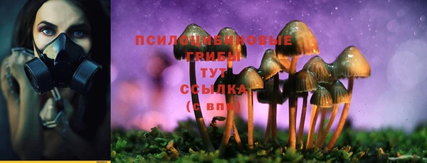 прущая мука Вязьма