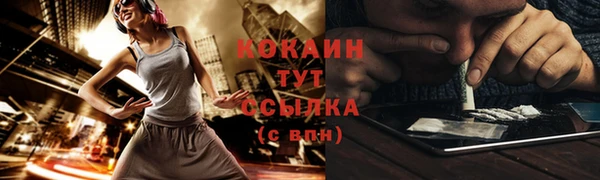 прущие грибы Вязники