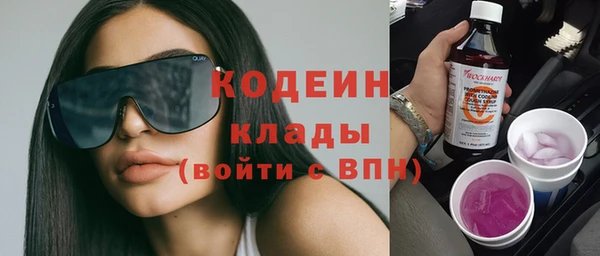 прущие грибы Вязники