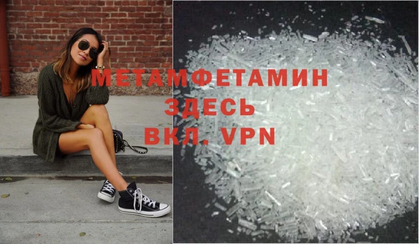 прущие грибы Вязники