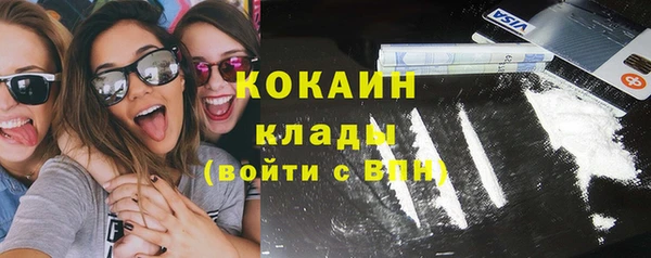 сатива Вяземский