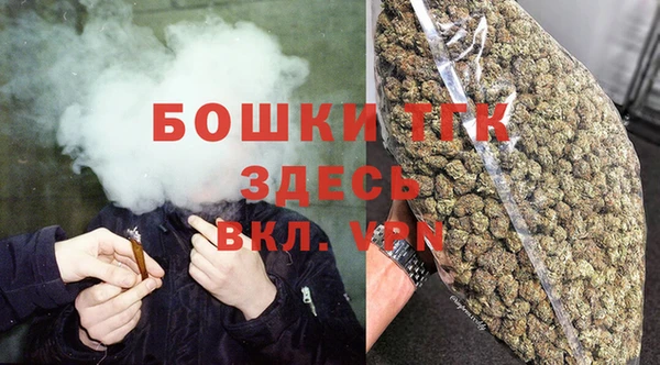сатива Вяземский