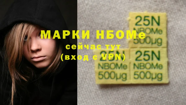 сатива Вяземский