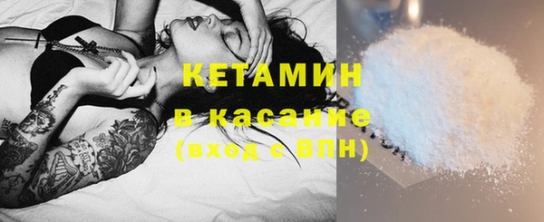сатива Вяземский