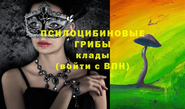 прущие грибы Вязники