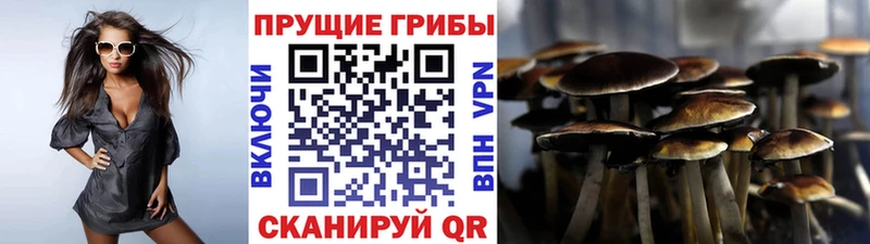 Псилоцибиновые грибы GOLDEN TEACHER Камышин